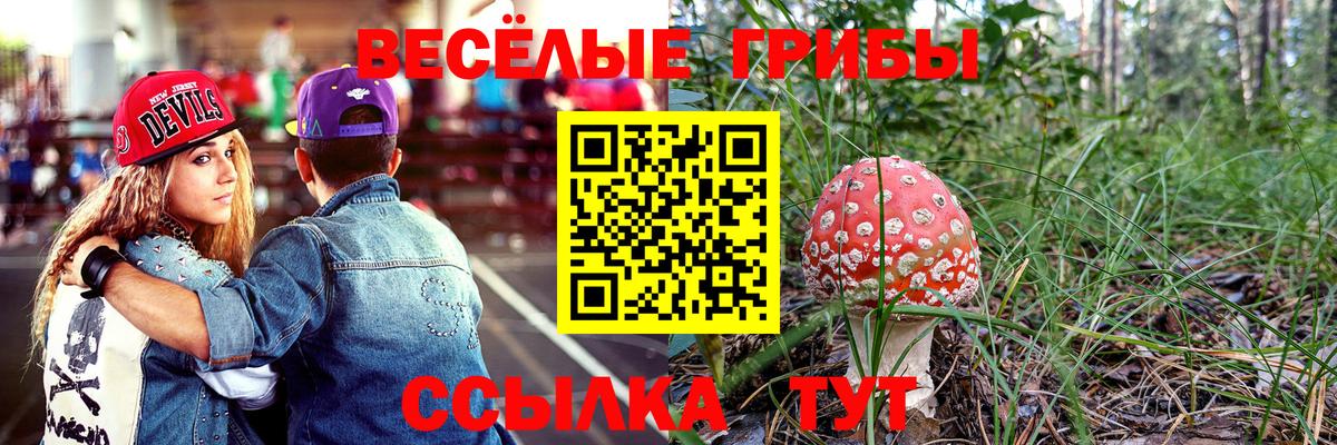 Псилоцибиновые грибы MAGIC MUSHROOMS Луга