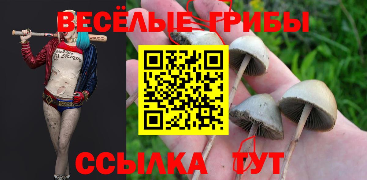 Псилоцибиновые грибы ЛСД  Вход с VPN  Луга 
